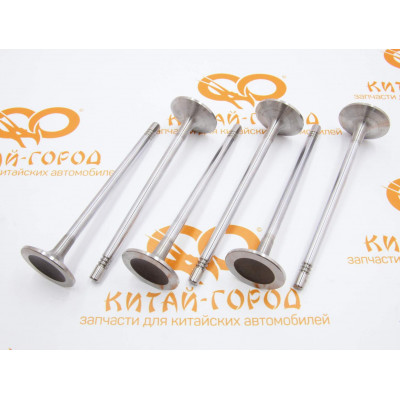 Клапана впускные Geely Coolray (к-т. 6 шт) (Hailing)