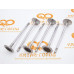 Клапана впускные Geely Coolray (к-т. 6 шт) (Hailing)