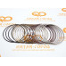 Кольца поршневые Haval Jolion (GW4B15D - 149 л.с)(Ориг.произв.ATG)